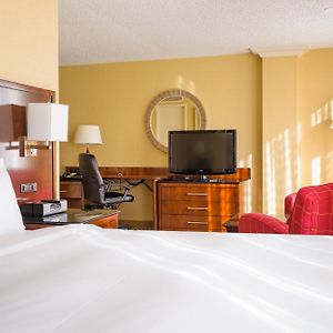 Guest Room King bed